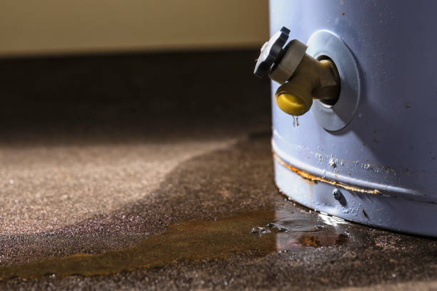 Best 24/7 water damage repair  in Portland, TX