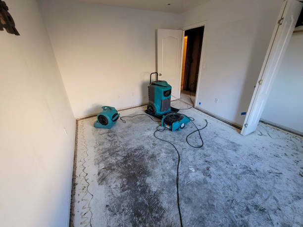 Best Ceiling water damage repair  in Portland, TX