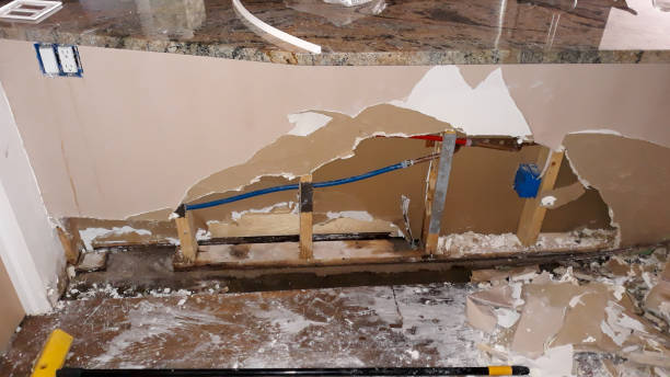 Best Water damage cleanup near me  in Portland, TX
