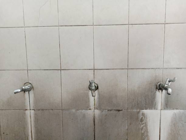 Best Ceiling water damage repair  in Portland, TX