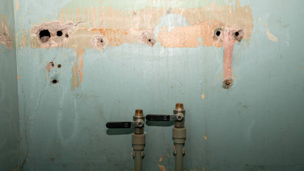 Best Sewage cleanup and water damage restoration  in Portland, TX