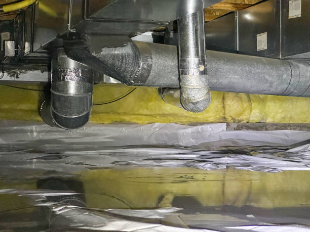 Best Flood restoration services  in Portland, TX
