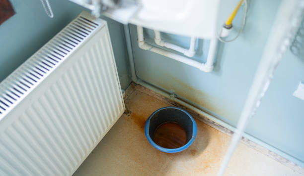Best Water damage restoration process  in Portland, TX