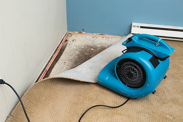 Best Emergency water damage restoration  in Portland, TX